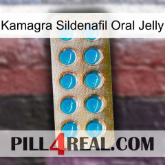 Kamagra Sildenafil Oral Jelly new09